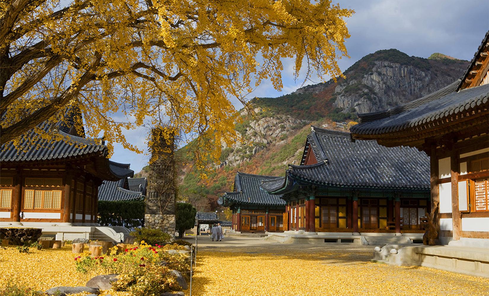 Tour trải nghiệm ở chùa 2 ngày 1 đêm khởi hành từ Daegu, Hàn Quốc