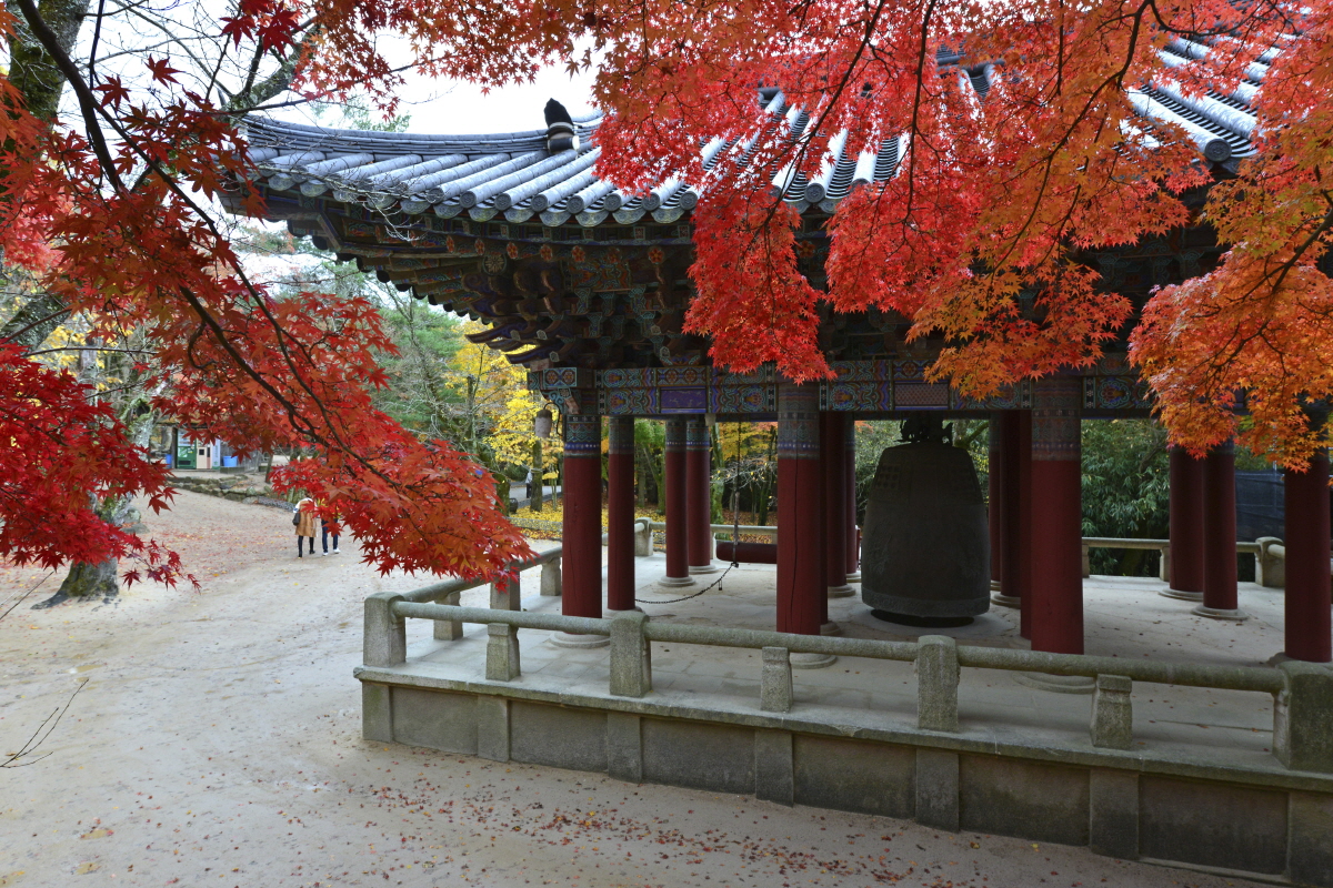 慶州 大邱 旅行