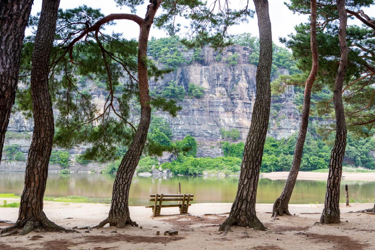 Alberi che offrono una vista del paesaggio naturale di Buyongdae, parte delle montagne Taebaek