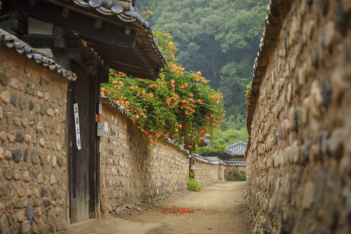 韓國旅行 大邱 南平文氏本里世居地