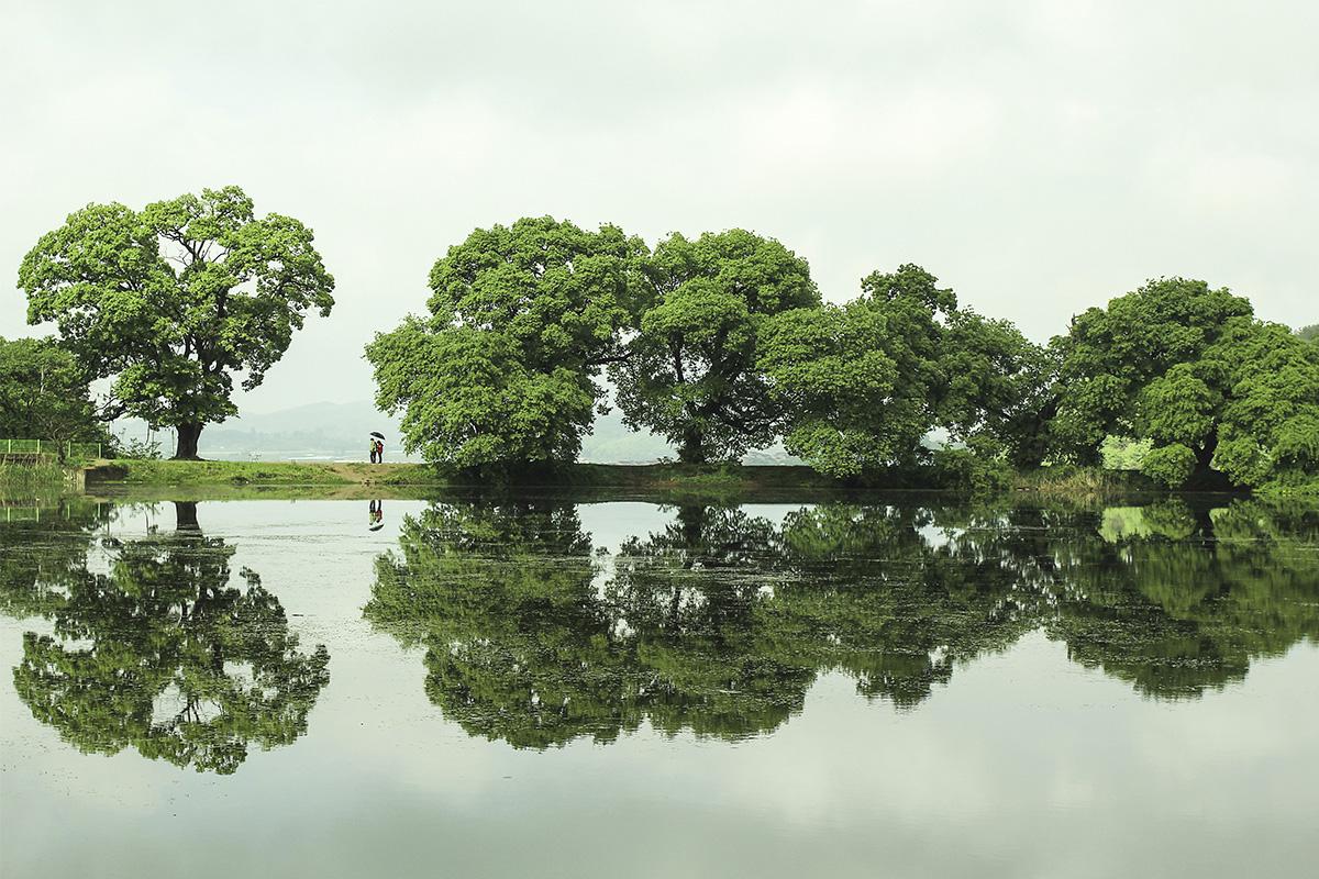 大邱旅行 盤谷池