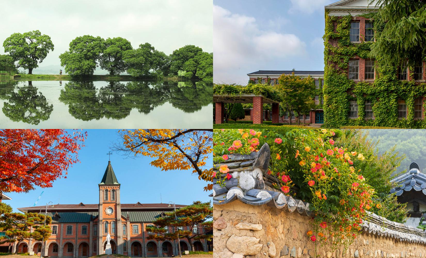 Tour 2 ngày 1 đêm khám phá các địa điểm quay phim K-drama, khởi hành từ Daegu