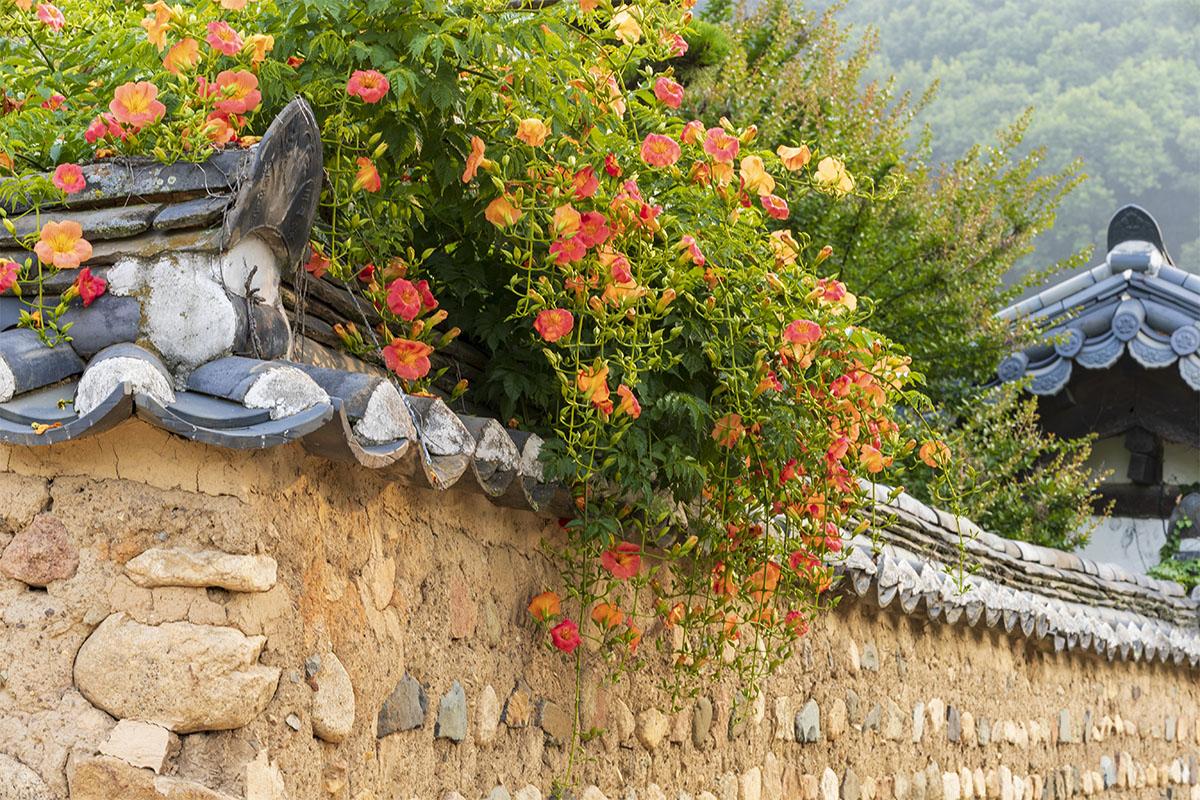 韓劇拍攝景點2日1夜行程 大邱