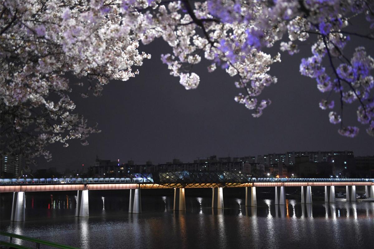 大邱旅行 峨洋鐵道橋