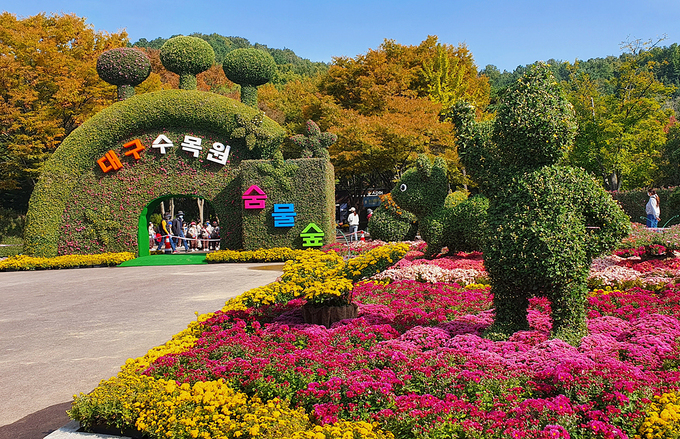 Daegu Arboretum หรือสวนพฤกษศาสตร์แทกู ที่มีธรรมชาติและดอกไม้ที่งดงามพร้อมบรรยากาศที่สงบเงียบ