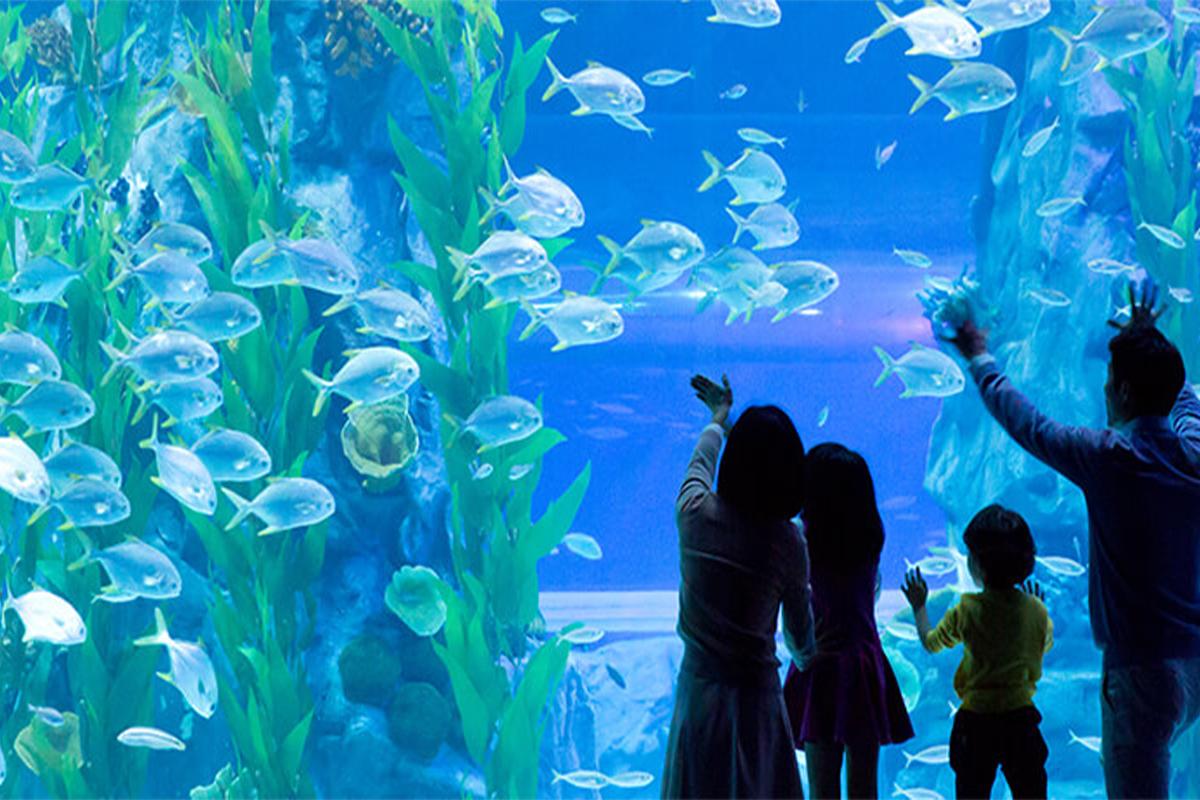 韓國旅行 蠶室 樂天世界水族館