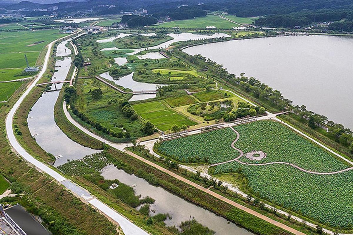 Parque de los Lotos Gasi en Gangneung, un espacio ecológico protegido de importancia natural.