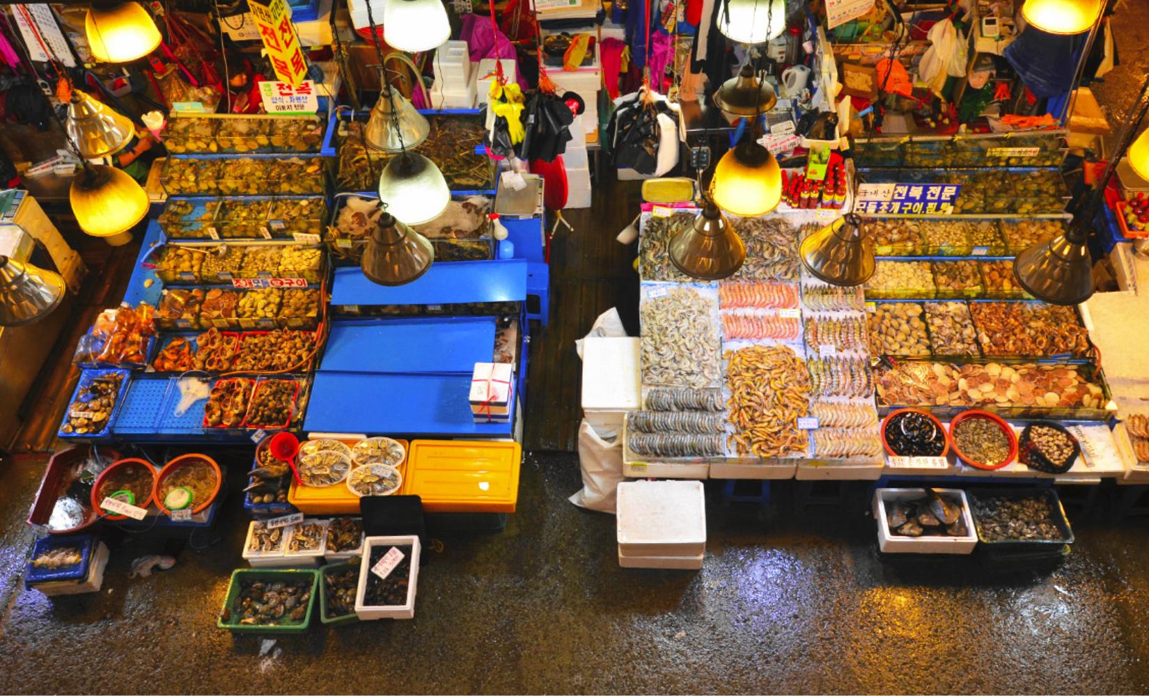 Tour khám phá ẩm thực tại Chợ hải sản Noryangjin lớn nhất Seoul