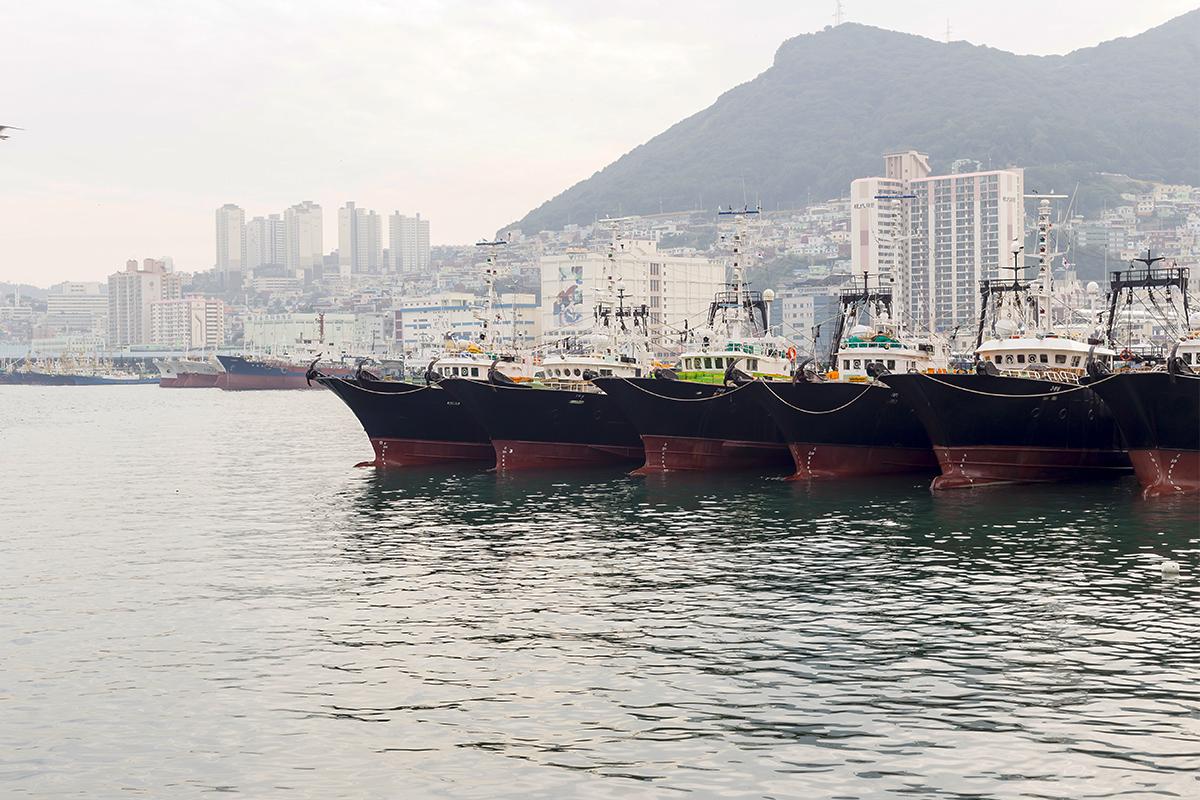 Bahía con barcos pesqueros atracados en el Mercado Jagalchi, Busan, Corea del Sur.