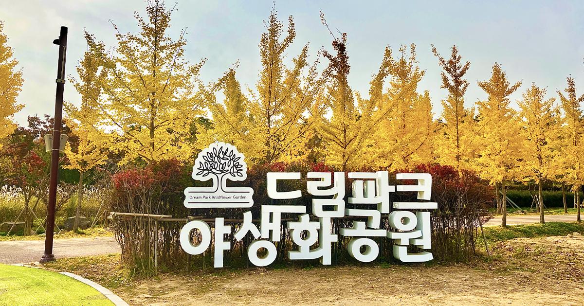 Incheon Dream Park: Wild Flower Garden