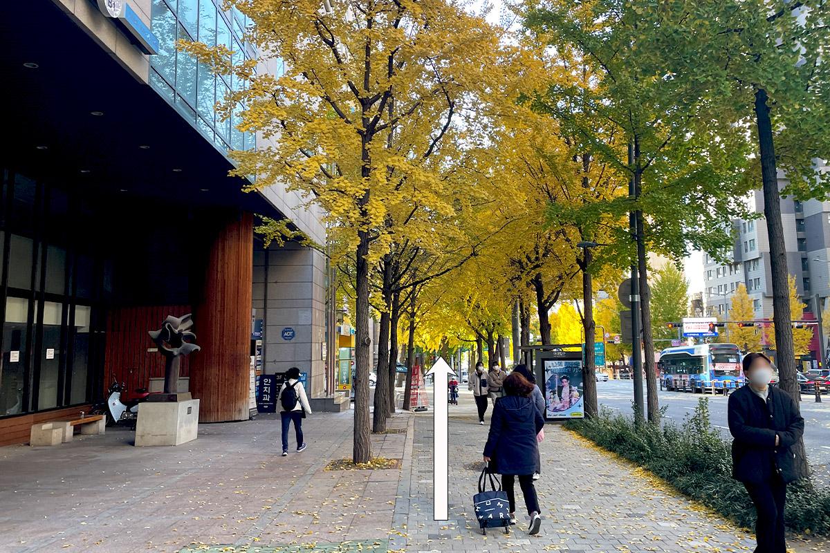 ソウル 梨大 新村 SJヘア 美容 韓国ヘアサロン SJヘア梨大店
