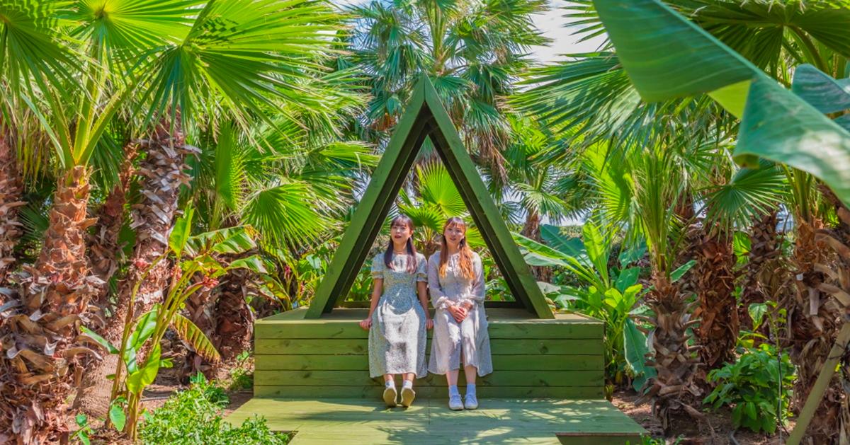 代订｜济州岛「牛岛庭园」门票