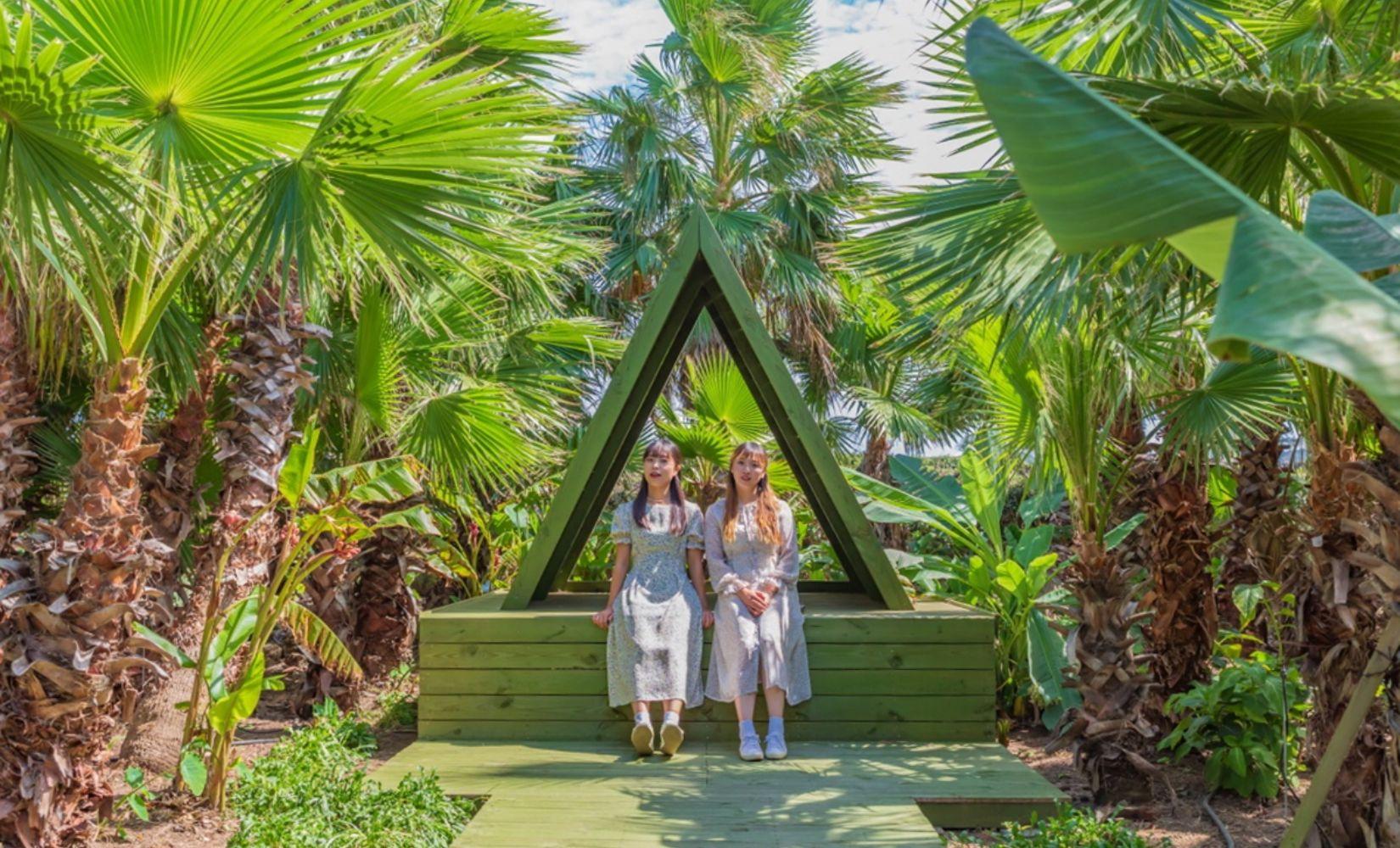 Vé vào cửa Vườn Udo: Khu vườn xinh đẹp ở đảo Jeju, Hàn Quốc