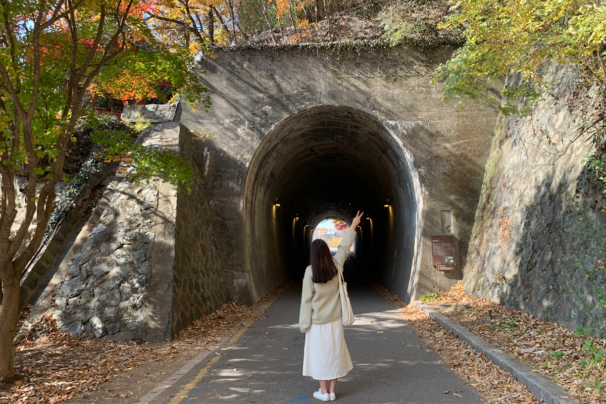 Khách du lịch chụp ảnh tại đường hầm Hanbyeok nổi tiếng Jeonju vào mùa thu