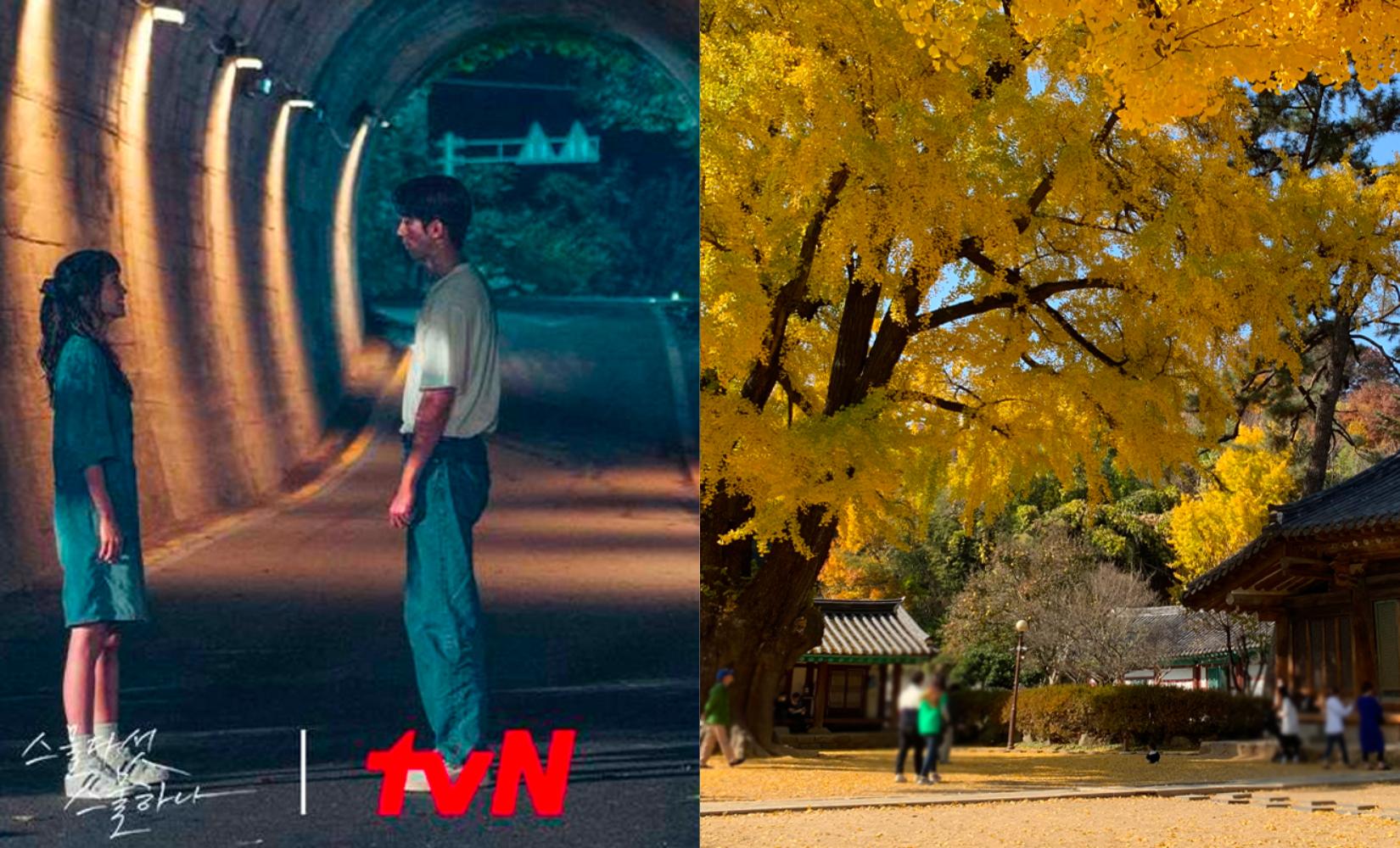 Check in các địa điểm quay Kdrama nổi tiếng ở Jeonju, Hàn Quốc