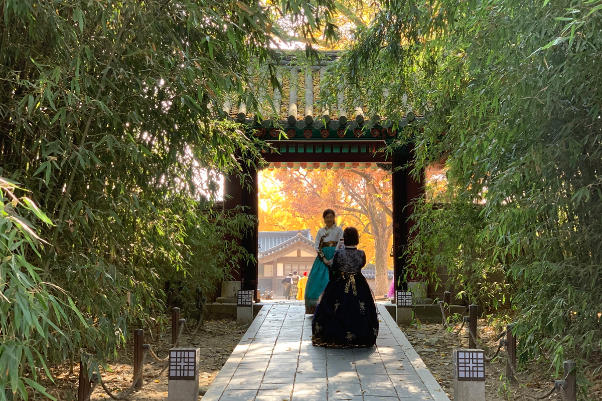 Cảnh du khách mặc hanbok tại rừng trúc Gyeonggijeon nơi quay phim Mây hoạ ánh trăng