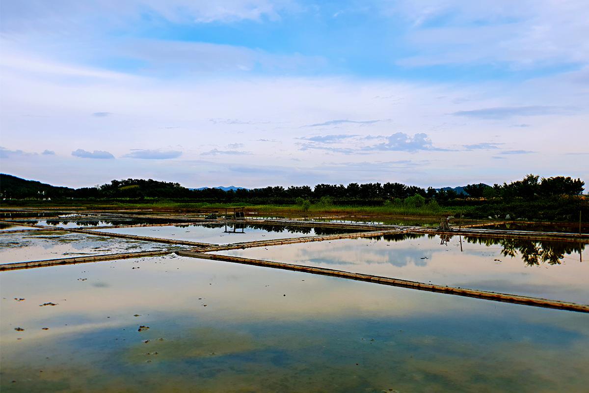 Reflective salt fields at Sorae Ecology Park, displaying the traditional salt production area under a clear sky in Incheon.