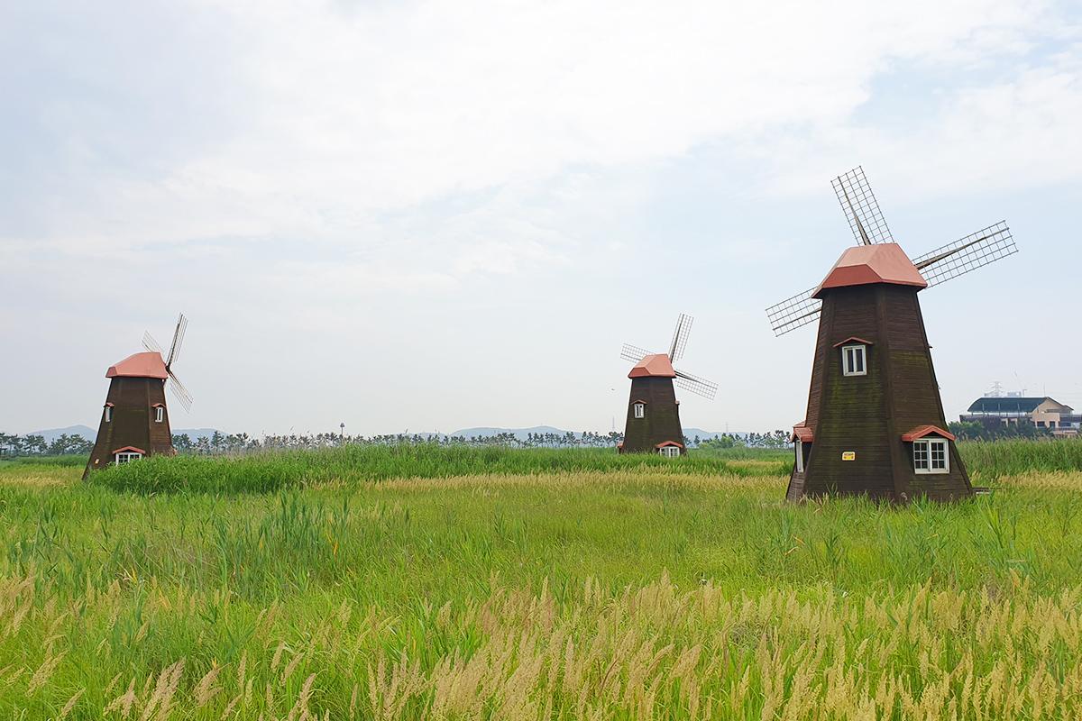 Expansive grassy fields with iconic windmills at Sorae Ecology Park, set against a partly cloudy sky in South Korea.