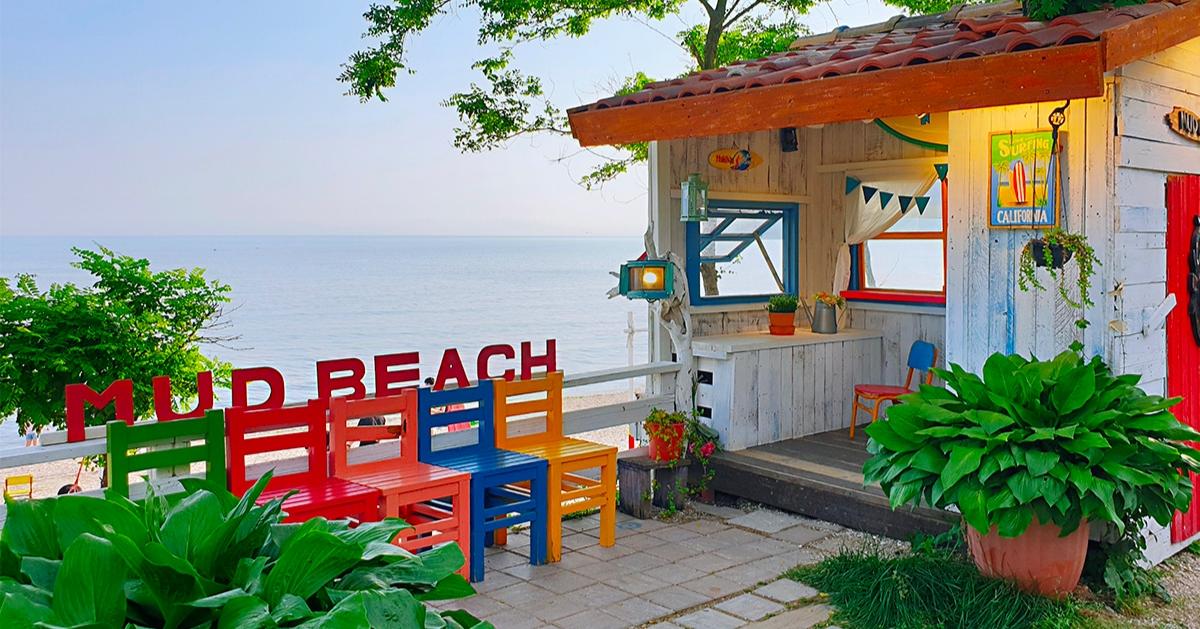 Incheon Relaxing Cafe Private Tour