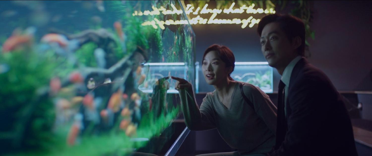 景点 拍摄地 千元律师