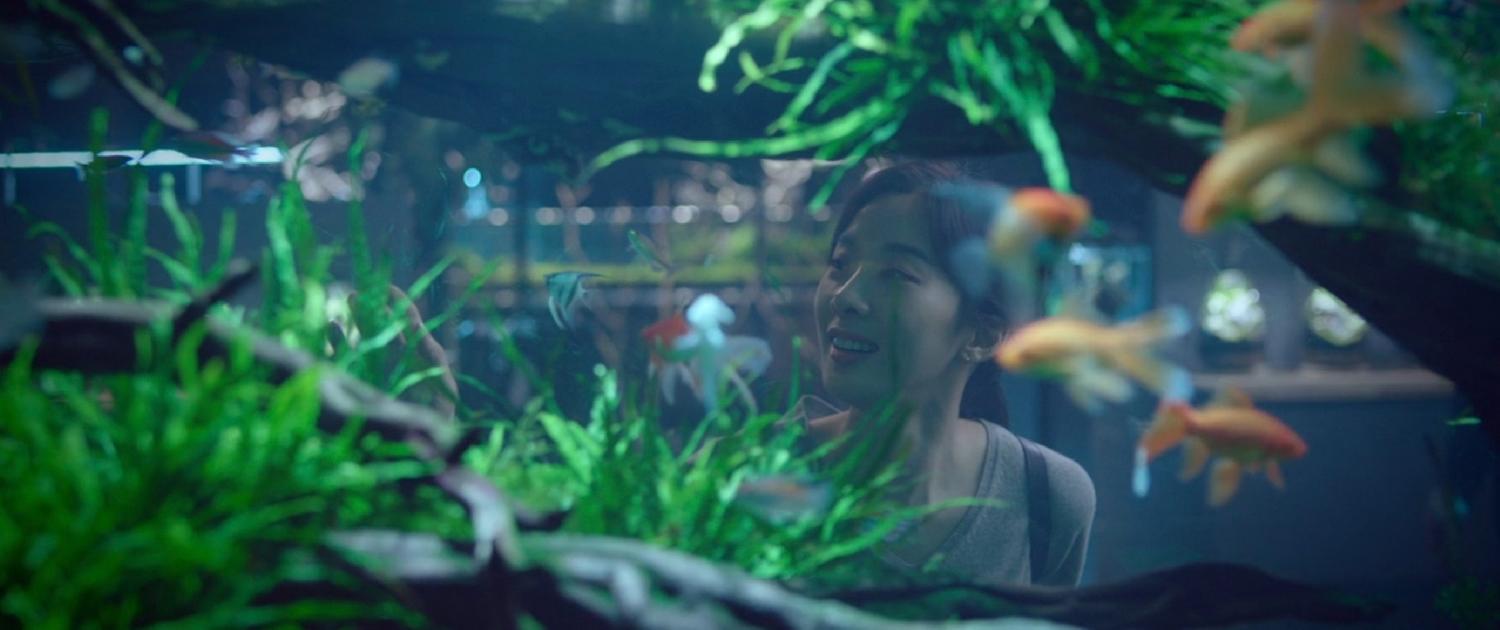 韩剧景点 千元律师