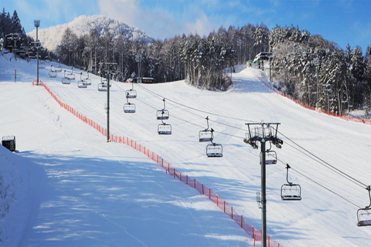 Scenic view of ski slopes at Yongpyeong Ski Resort with chairlifts and snow-covered trees.