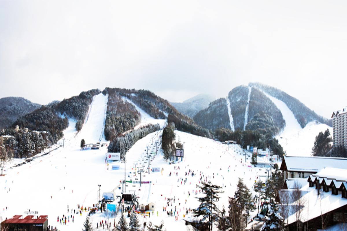 Panoramic view of Yongpyeong Ski Resort in Pyeongchang, South Korea, featuring multiple ski slopes and surrounding mountains.
