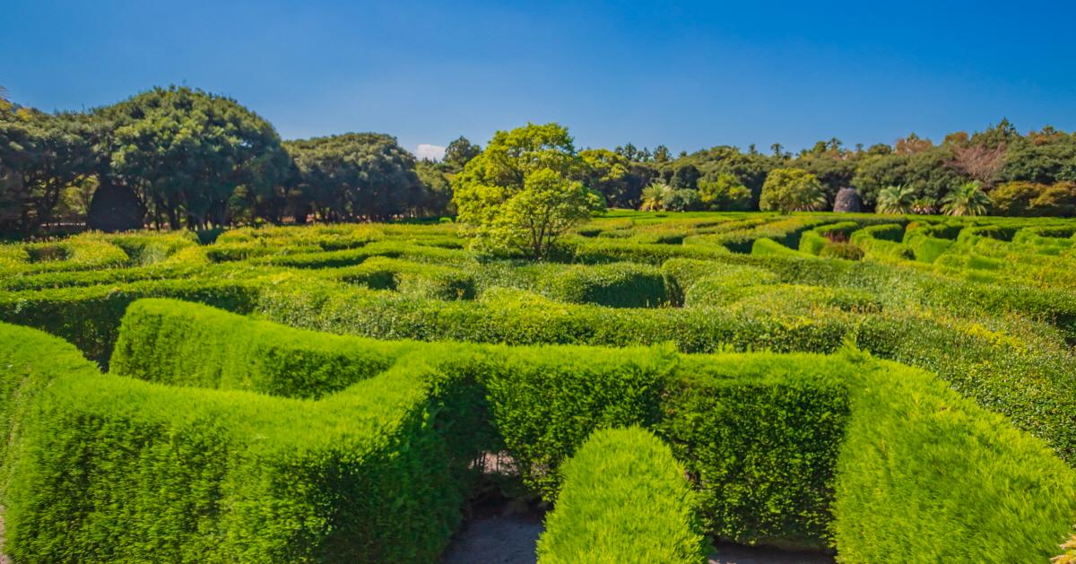 済州 体験｜メイズランド