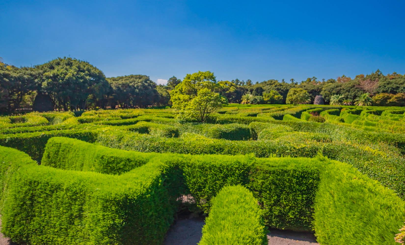 代訂 | 濟州Mazeland迷宮公園入場券