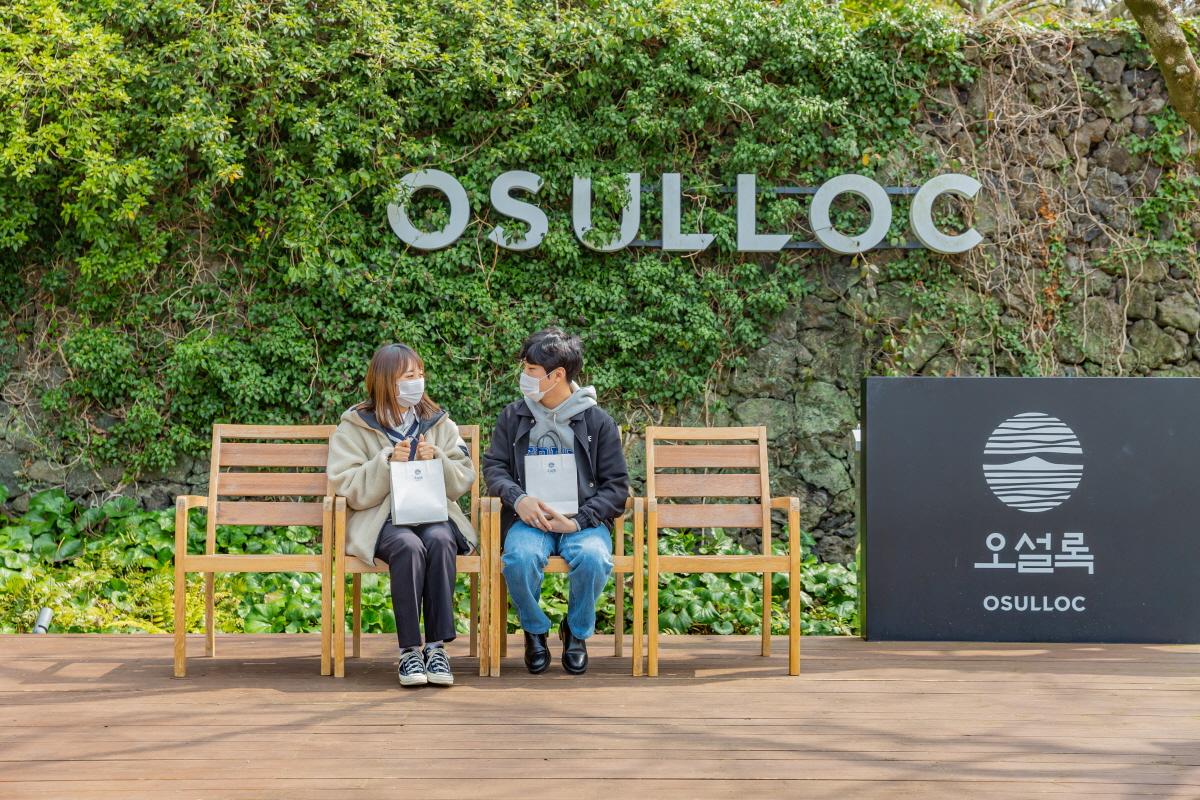 Cozy seating area at the Jeju Osulloc Tea Museum, surrounded by lush greenery, offering a peaceful environment for relaxation