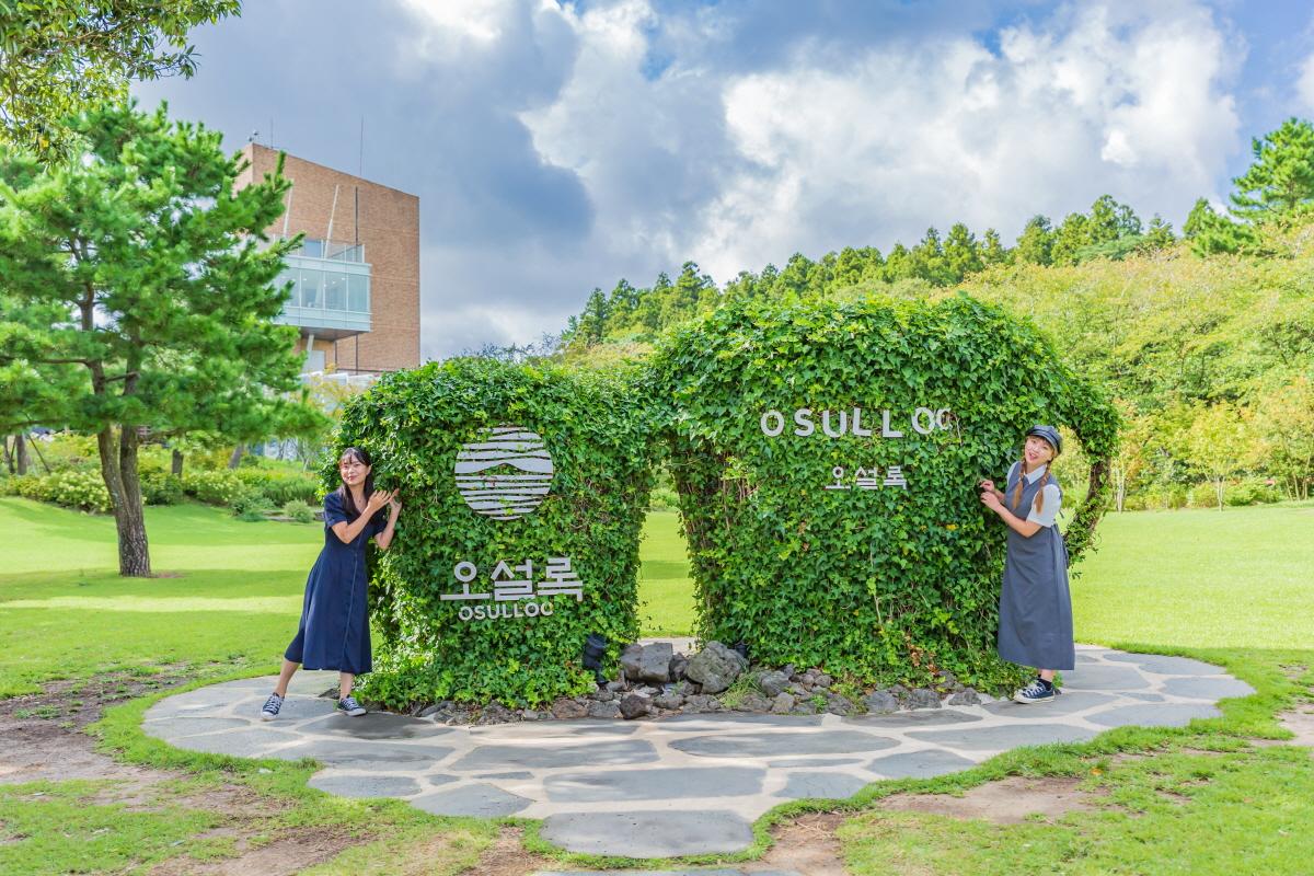 Lush green exterior of the Osulloc Tea Museum in Jeju, adorned with surrounding trees and plants for an aesthetic backdrop