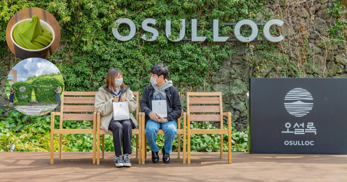พิพิธภัณฑ์ชา O'sulloc: สถานที่ท่องเที่ยวที่ไม่ควรพลาดในเกาะเชจู