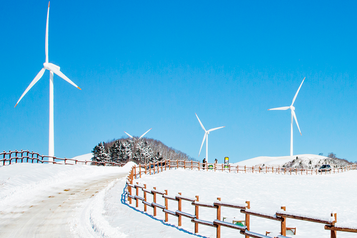 Cảnh quan mùa đông với các tua-bin gió tại Nông trường Daegwallyeong Sky Ranch.