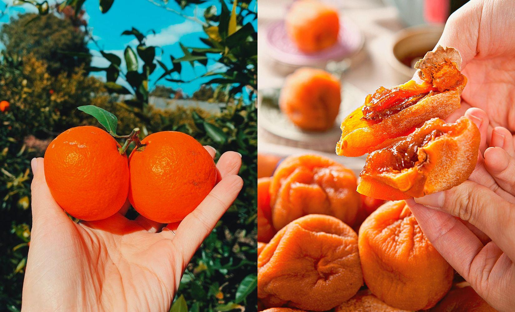 Danh sách đặc sản từng vùng miền nhất định phải mua khi đến Hàn Quốc