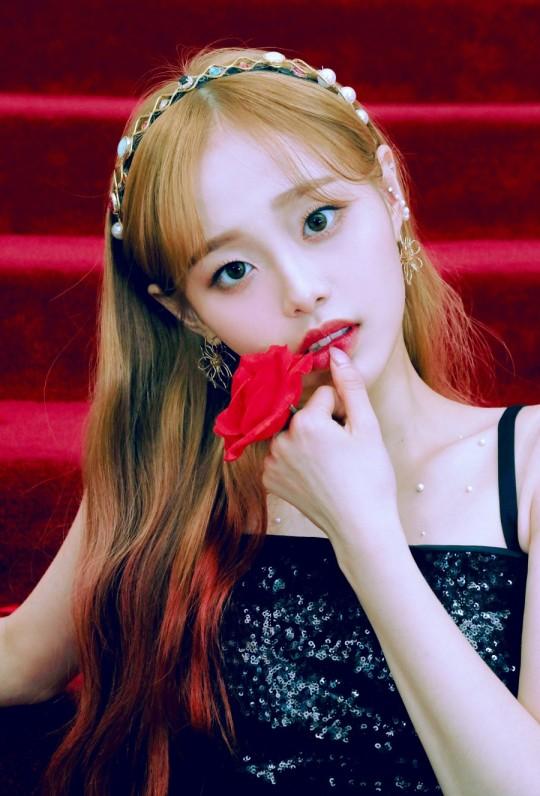 黒いドレスを着た今月の少女チュウが赤いバラを持ち、ブロックベリークリエイティブが提供した画像。