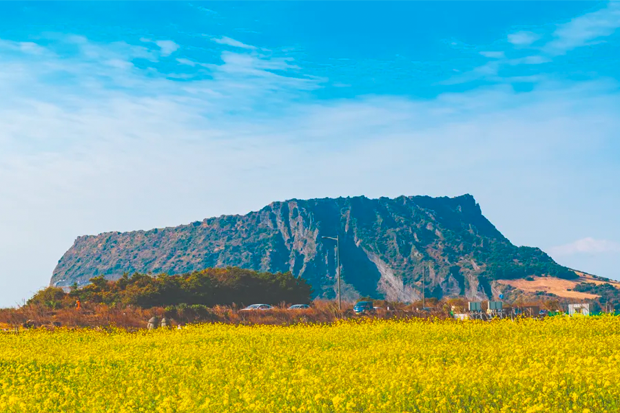 韓國包車 機場包車服務 機場接送 2025 便宜 比價 韓國機場接送價格