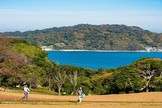 福岡ののこのしまアイランドパークの景色、緑豊かな草原とその向こうに見える海。韓国人観光客の地方訪問の推進を示す。