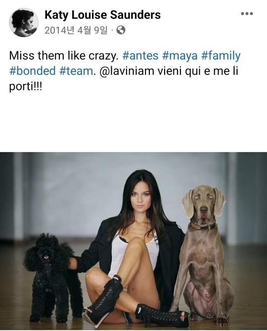 ケイティ・ルイーズ・サンダースの過去の写真。彼女はソン・ジュンギの交際相手としてメディアで取り上げられている。犬のアンデスとマヤと一緒に写っているが、この特定の機会には不在。