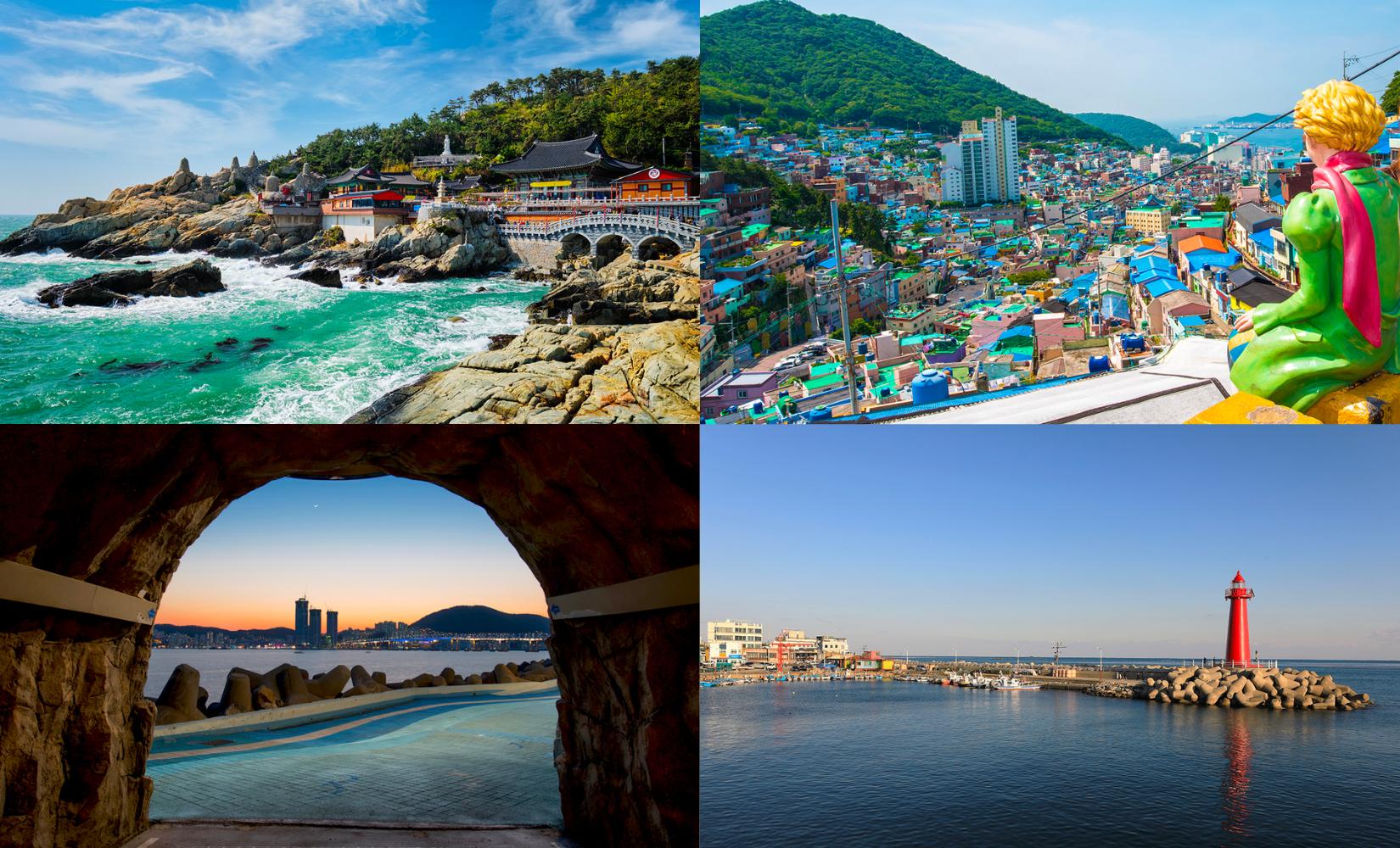 Tour 1 ngày khám phá các địa điểm du lịch hot nhất Busan, khởi hành từ Busan
