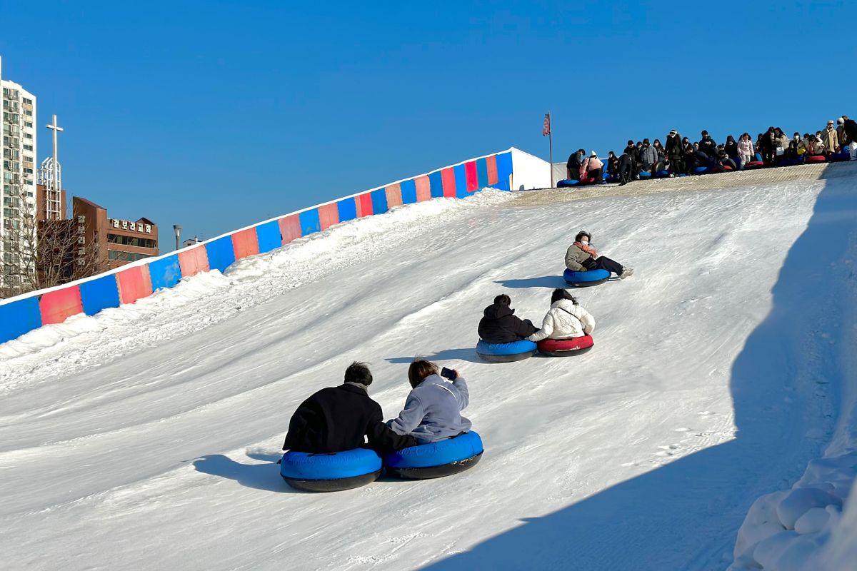 2025 2025 首爾 雪橇 纛島漢江公園雪橇場 資訊