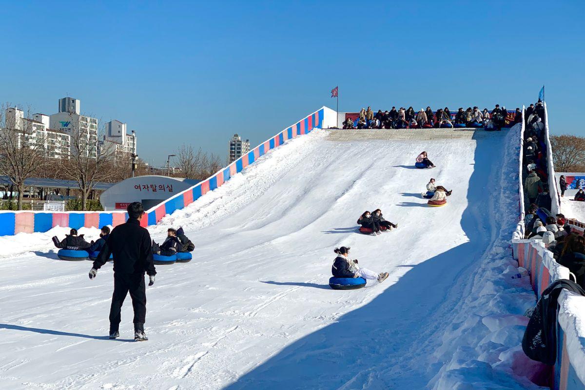 2025 2025 首爾 雪橇 纛島漢江公園雪橇場 資訊