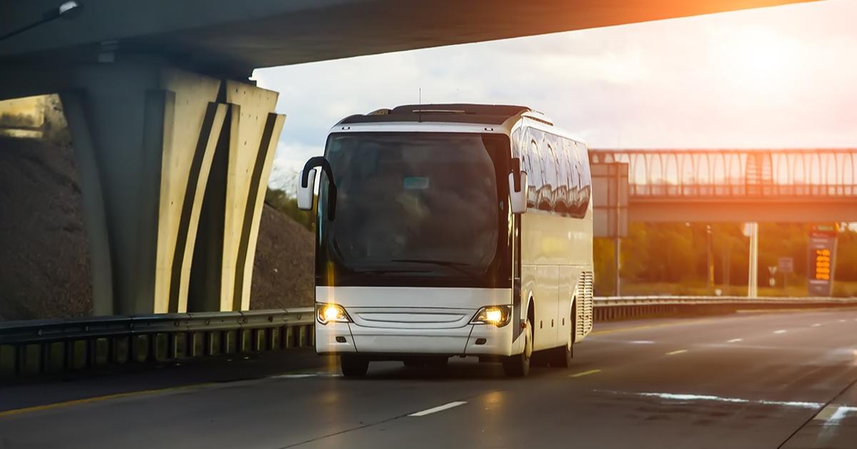 Vivaldi Park Shuttle Bus Ticket