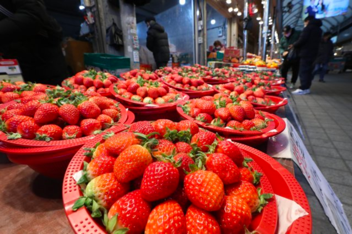 Những giỏ dâu tây tươi ngon được bày bán tại chợ truyền thống Hàn Quốc.