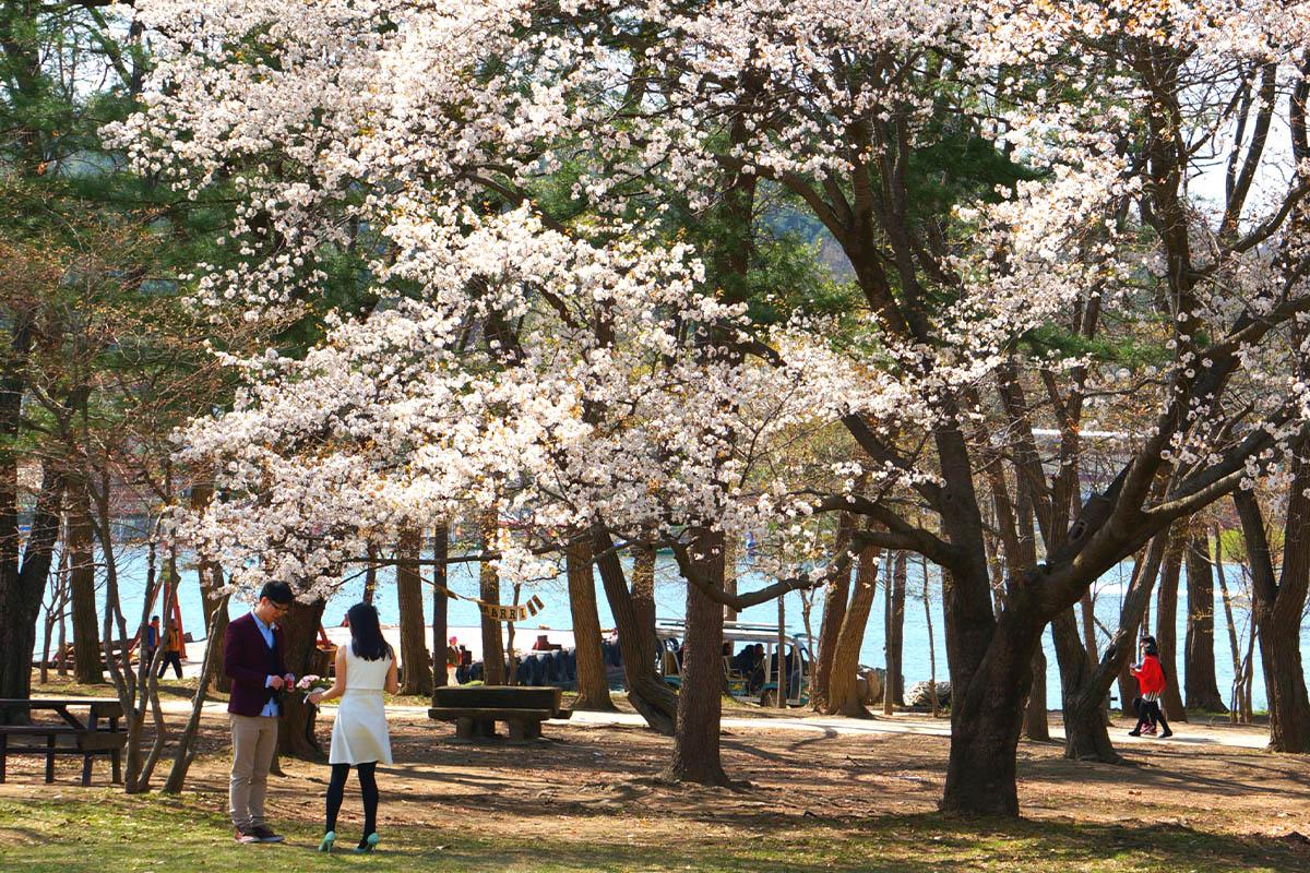 Goguryeo Blacksmith Village + Nami Island + Edelweiss Swiss Theme Park + Dumulmeori Private Tour
