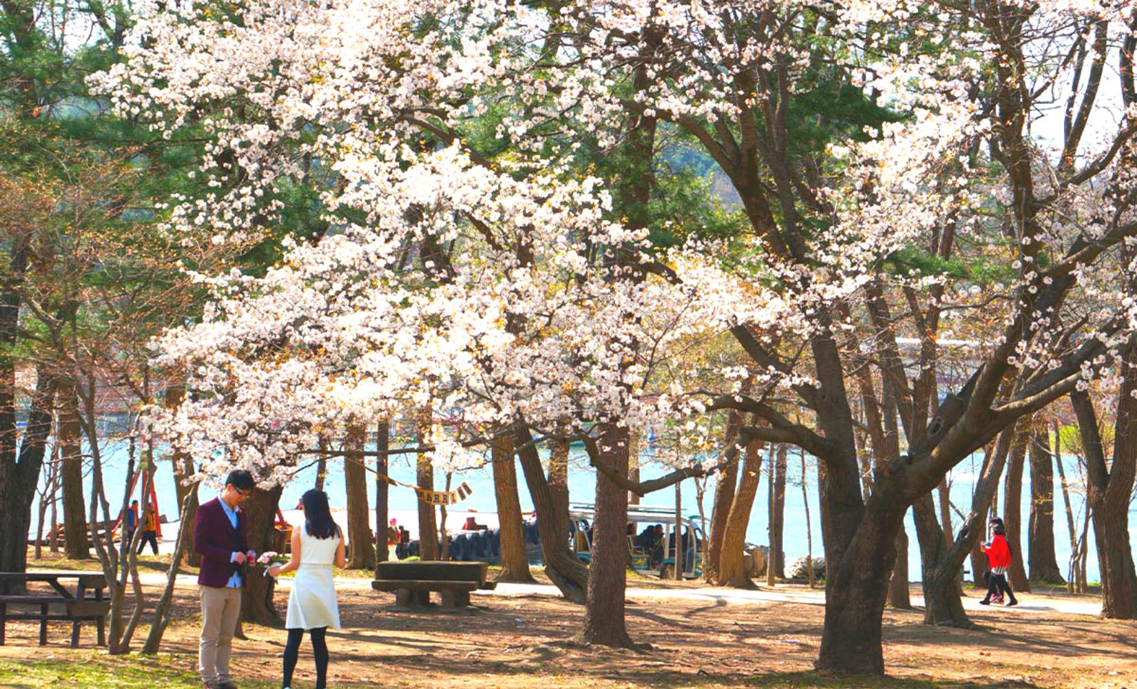 Tour 1 ngày khám phá Làng thợ rèn Goguryeo, đảo Nami, Edelweiss Swiss và Dumulmeori