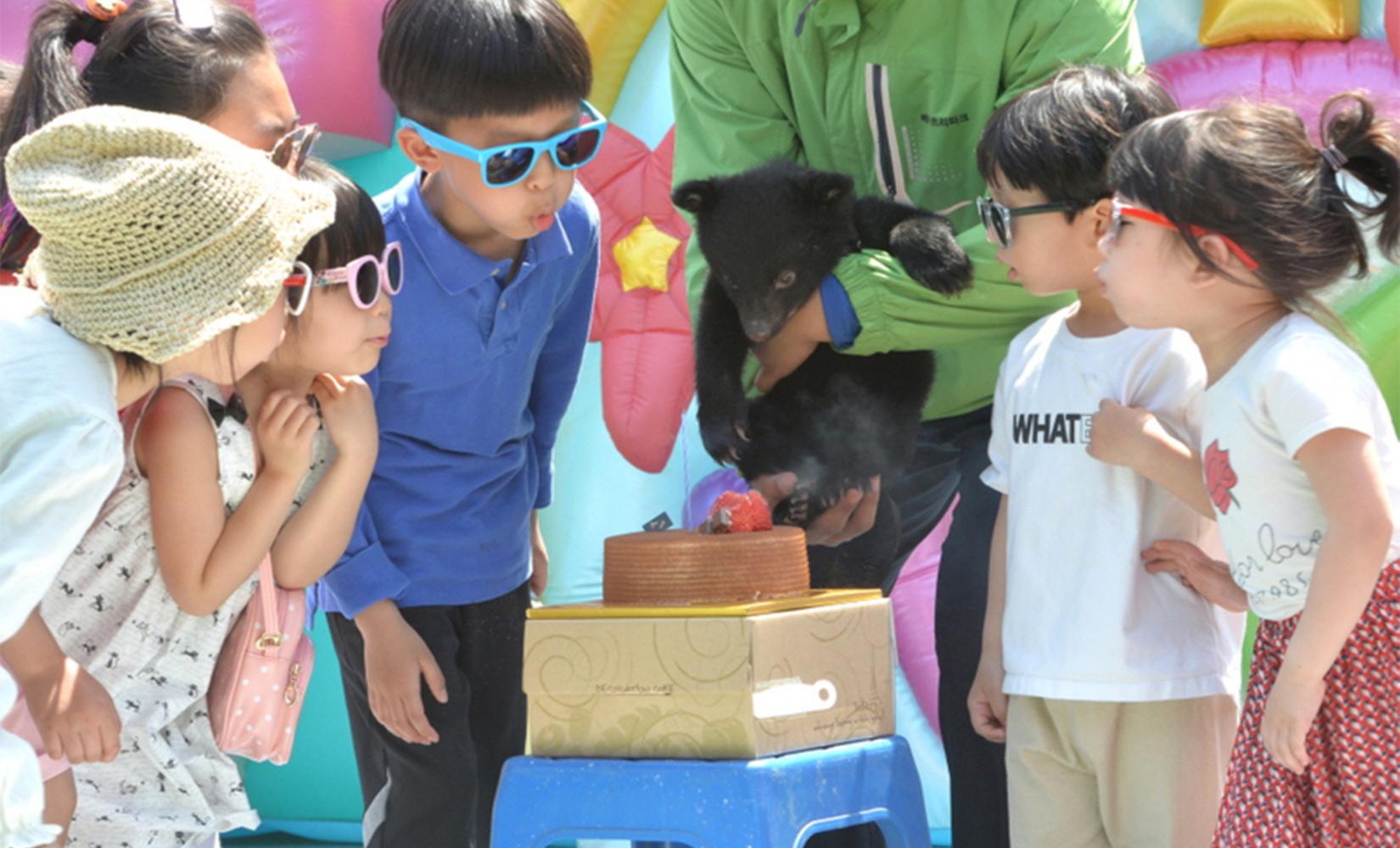 代訂 | 世宗Bear Tree公園入場券