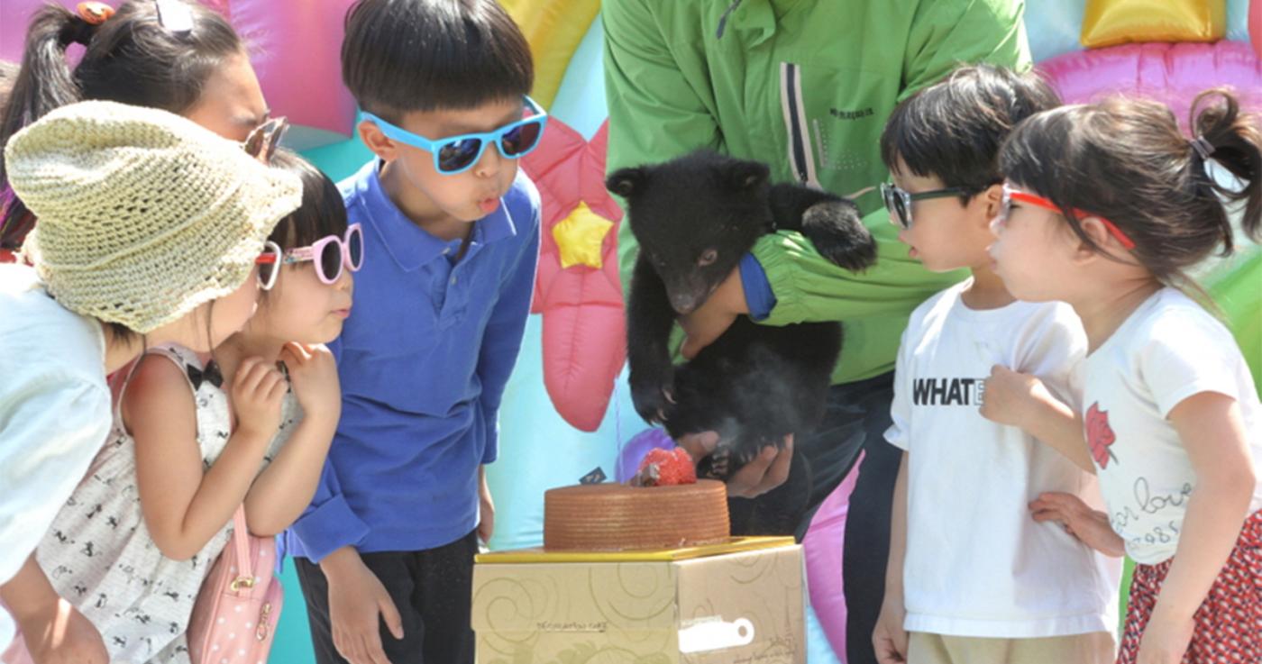 พาไปหาน้องหมีที่ Bear Tree Park จังหวัดเซจง 🐻