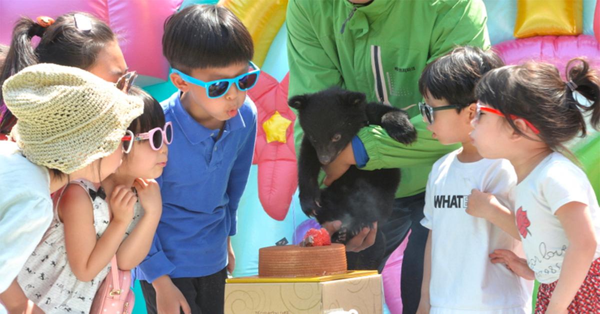 代订｜世宗熊熊木公园门票