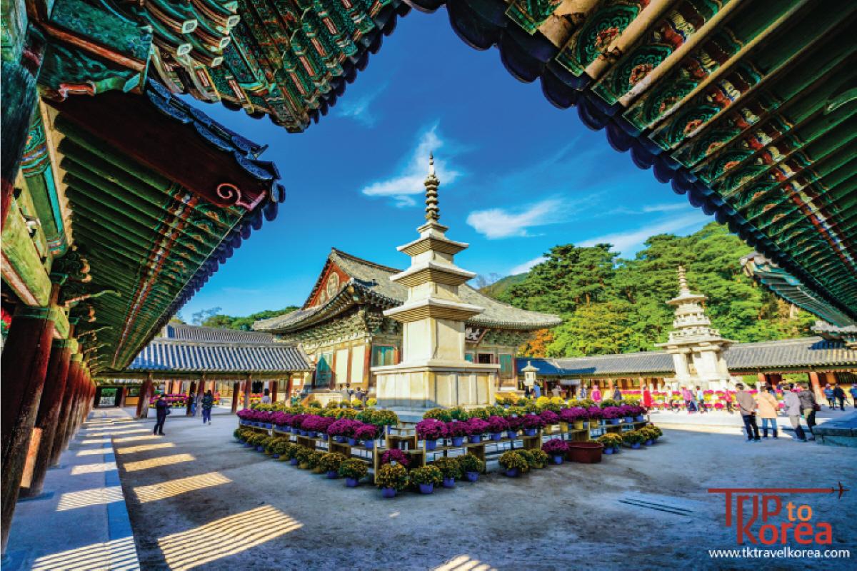 慶州櫻花一日遊 首爾出發韓國旅行 必去 麗水EXPO韓國旅行 閑麗海上國立公園 梧桐島韓國傳統市場 美食 小食韓國旅行 韓國一日遊 全州韓屋村一日遊 價錢 預約江陵注文津&ARTE MUSEUM一日遊韓國旅行 韓國城市 景點推薦 KTX KTX即日來回 KTX自由行 韓國自由行 推薦城市 慶州 佛國寺