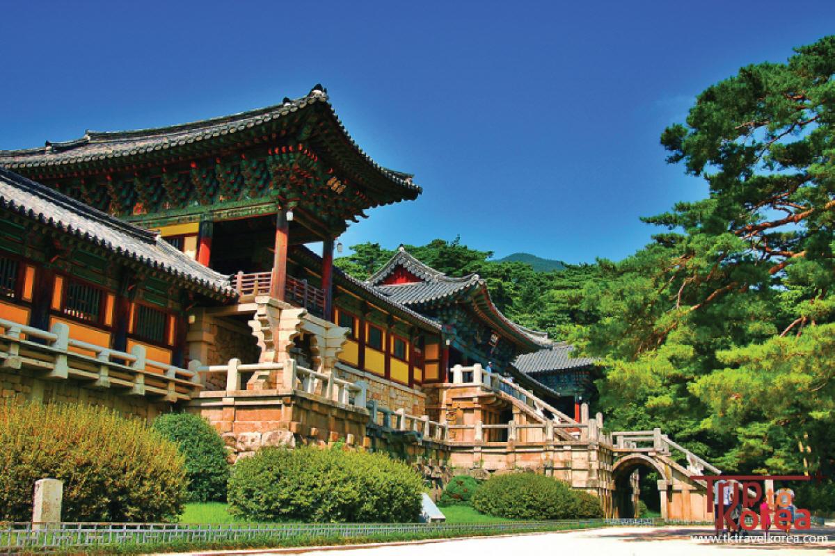 慶州櫻花一日遊 首爾出發韓國旅行 必去 麗水EXPO韓國旅行 閑麗海上國立公園 梧桐島韓國傳統市場 美食 小食韓國旅行 韓國一日遊 全州韓屋村一日遊 價錢 預約江陵注文津&ARTE MUSEUM一日遊韓國旅行 韓國城市 景點推薦 KTX KTX即日來回 KTX自由行 韓國自由行 推薦城市 慶州 佛國寺